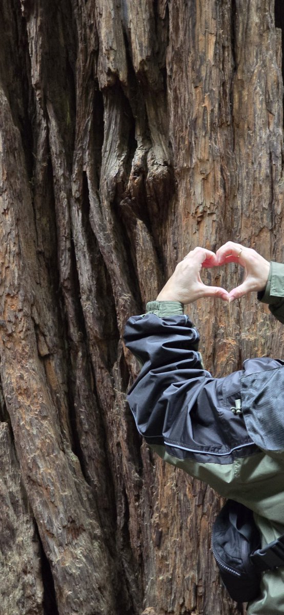 My cute mom did a 🫶🏻 by the red wood trees 🥹🥹🥹