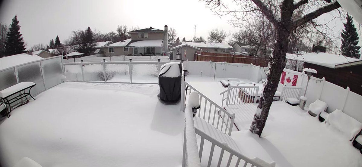 Micheal Lam tweet media