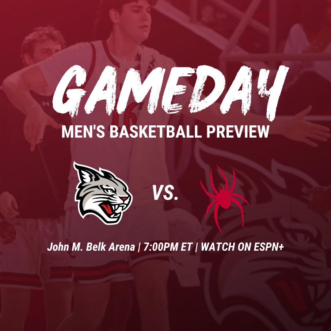 'Cats Stats tweet media