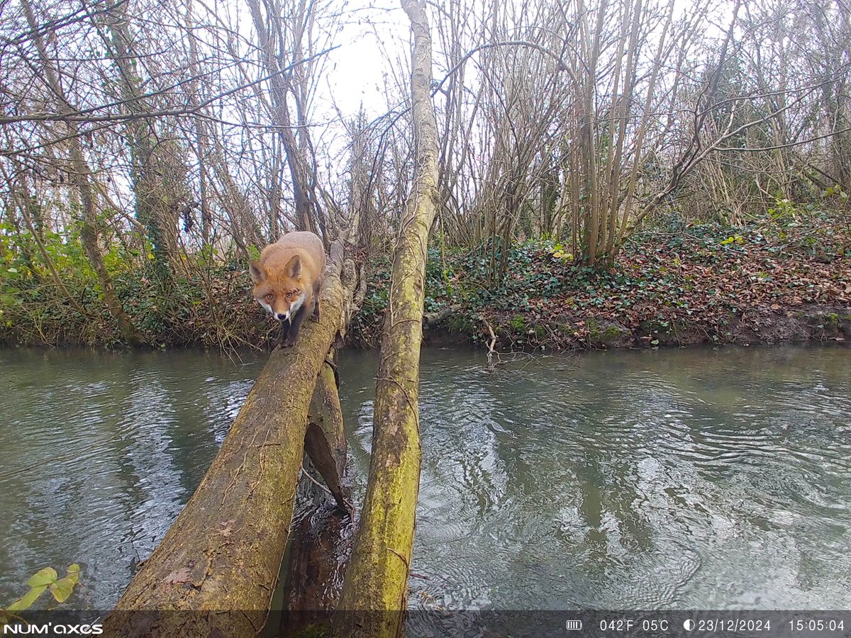 hub_observateur tweet media