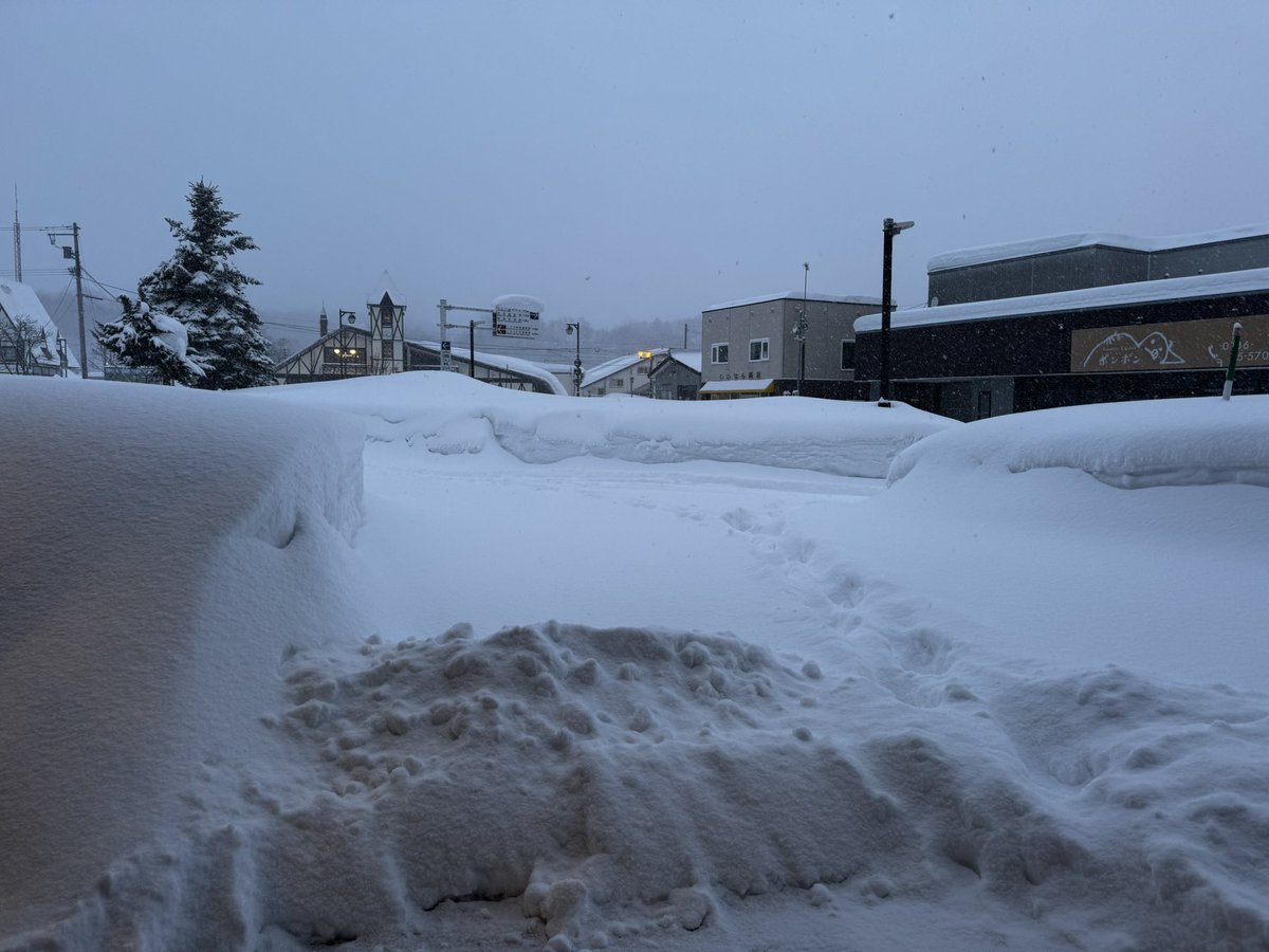 2026/2/19 木曜日 ニセコは雪です。昨晩から降っていた雪が。 久しぶり
