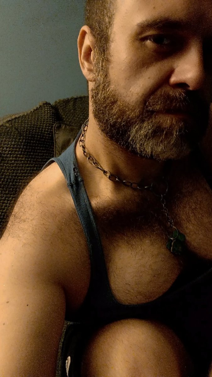 Puppy mode / hooman mode