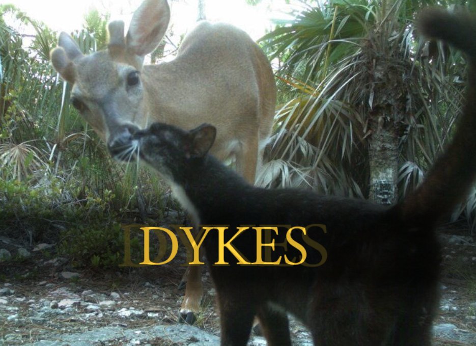 please 😞 tweet media