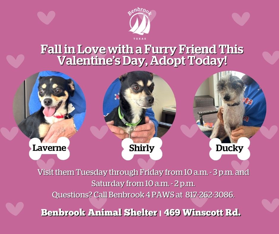 City of Benbrook, TX tweet media