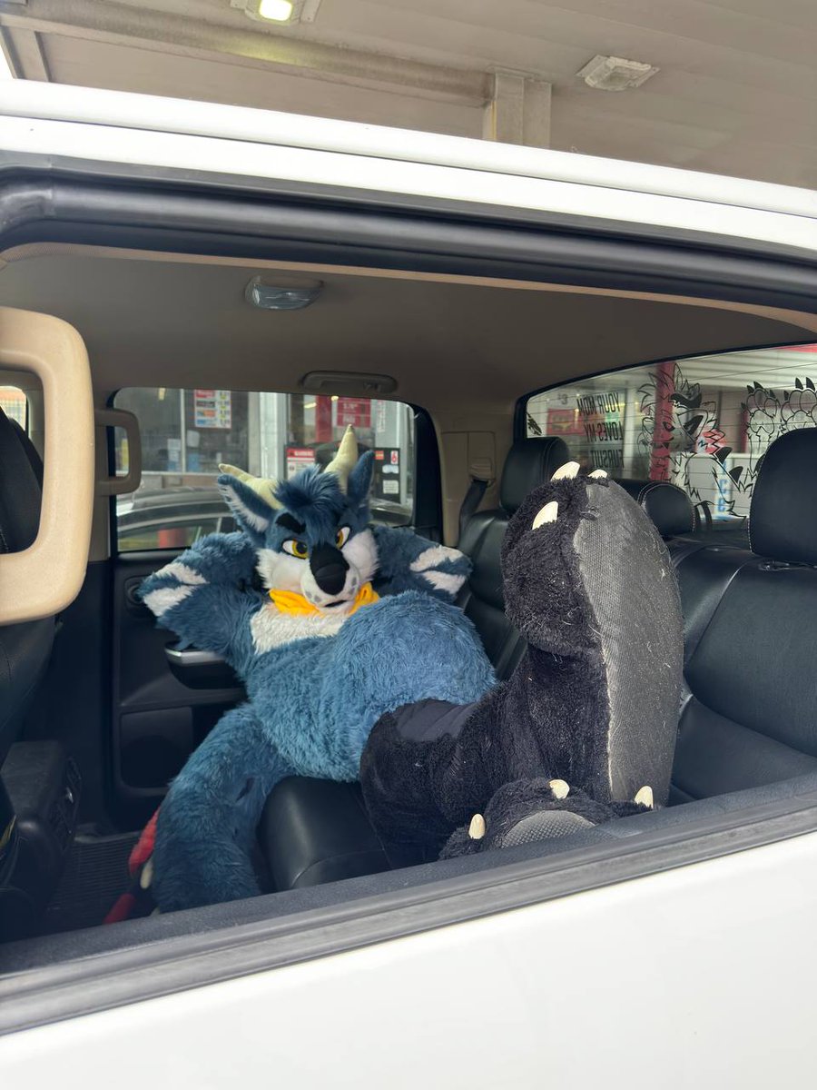 dirdwolf @ lvfc tweet media