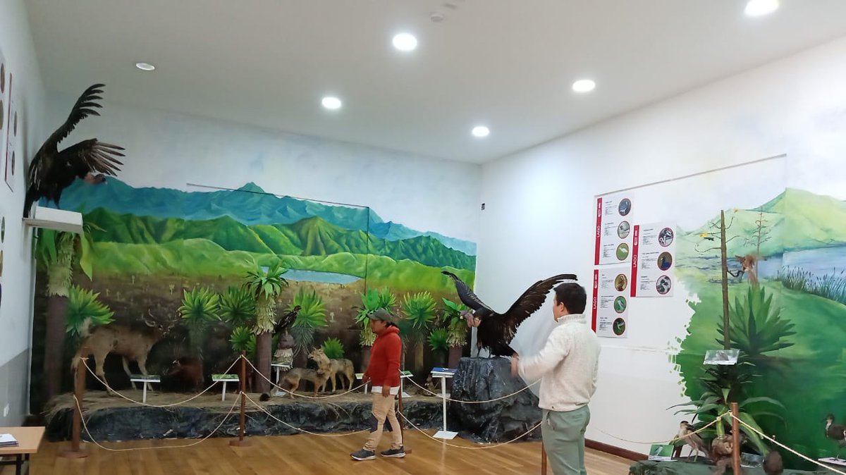 Dirección Zonal 1 MAE Imbabura - Carchi tweet media