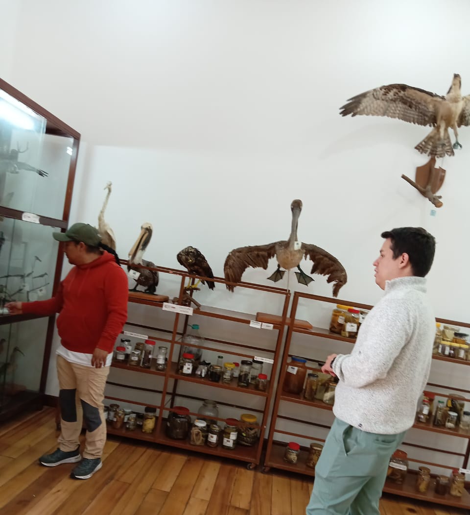 Dirección Zonal 1 MAE Imbabura - Carchi tweet media