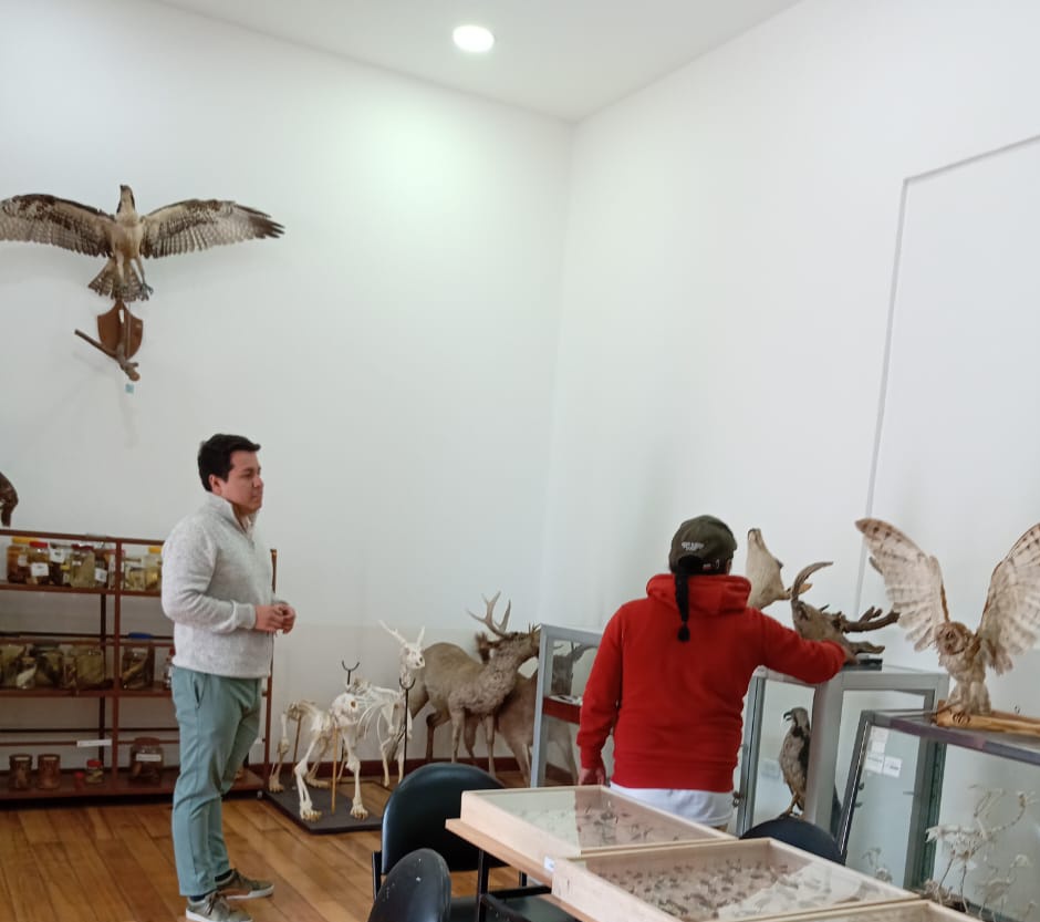 Dirección Zonal 1 MAE Imbabura - Carchi tweet media