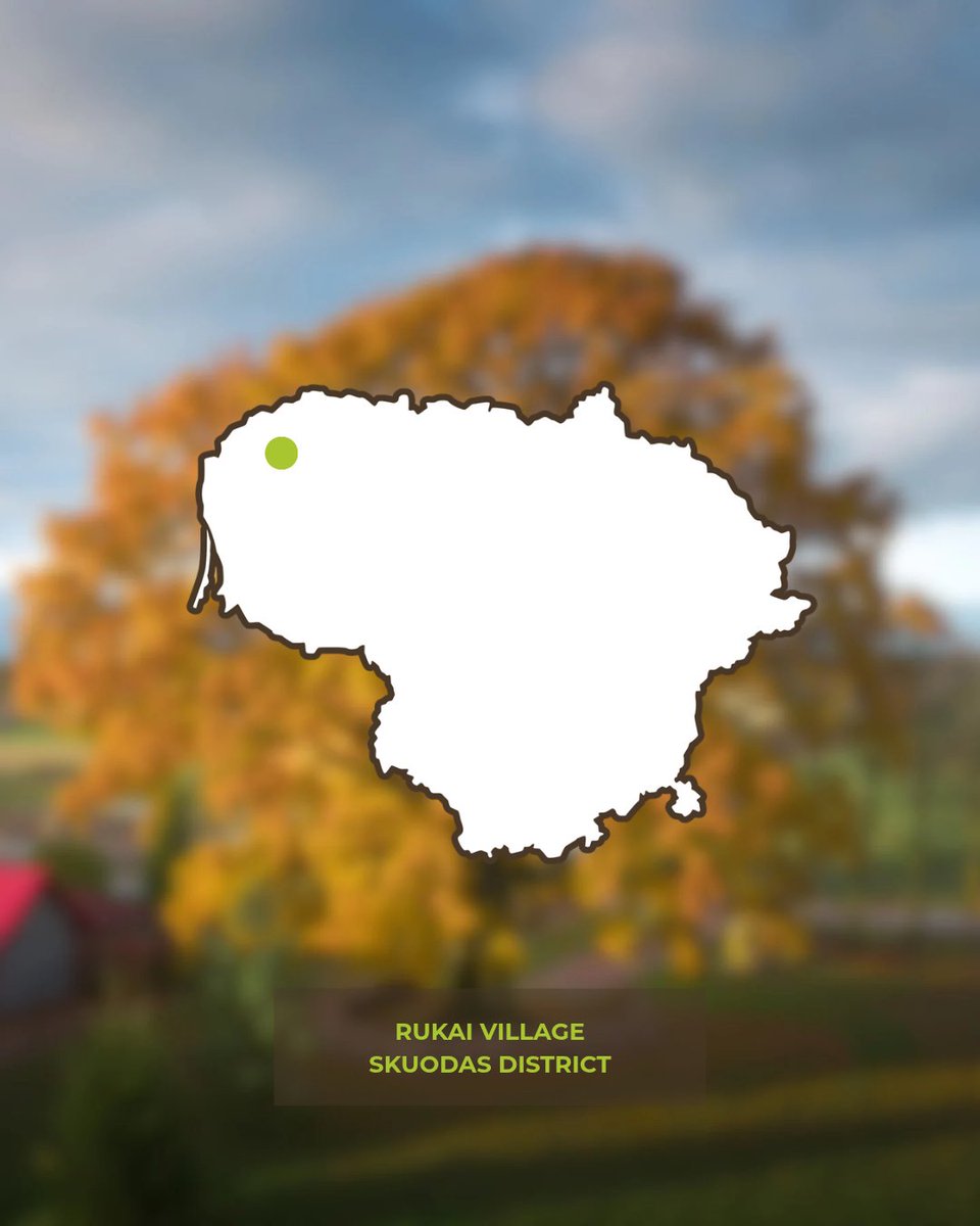 Tree of the Year tweet media