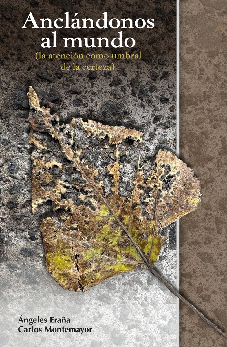 Ángeles Eraña tweet media