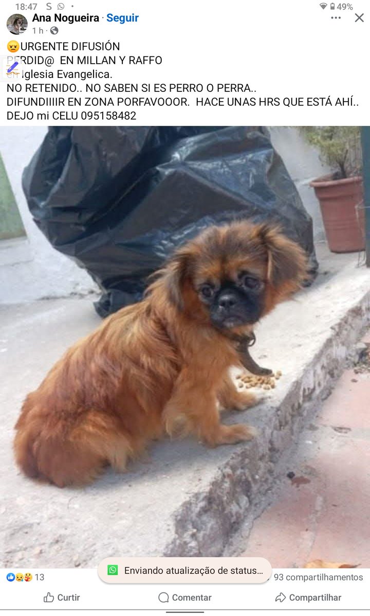 Mariela (@marielaelsa1) on Twitter photo 