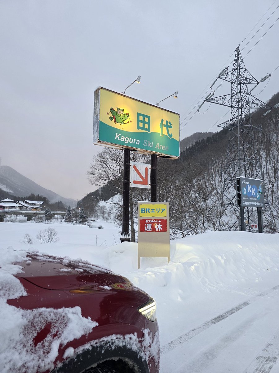 Japow_Guide's tweet photo. 🚨【緊急速報】
かぐらスキー場 田代エリア 運休決定

本日、田代エリアは天候影響により運休。
南寄りの風が強く、安全最優先の判断です。

最新情報は現地Japowガイドの投稿で
#かぐらスキー場 #田代エリア #越後湯沢 #Japow https://t.co/2iHG4gCQAg
