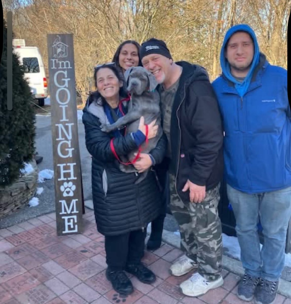 littleshelter's tweet photo. Hurray for all of these wonderful winter adoptions. Congratulations to Marley, Professor Teddy Bear, Sausage, Sherman. #cleartheshelters #iamgoinghome #littleshelteranimalrescue #savinglive #since1927 https://t.co/DbJTKKJSj4