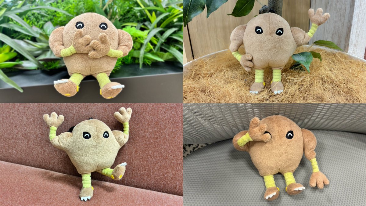 本日10時からポケセンオンラインで「とっくんちゅう」シリーズの販売