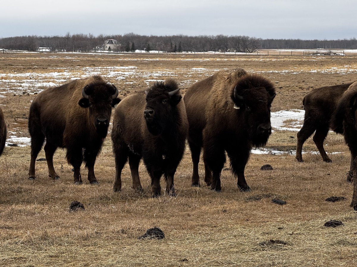 Robert Johnson tweet media