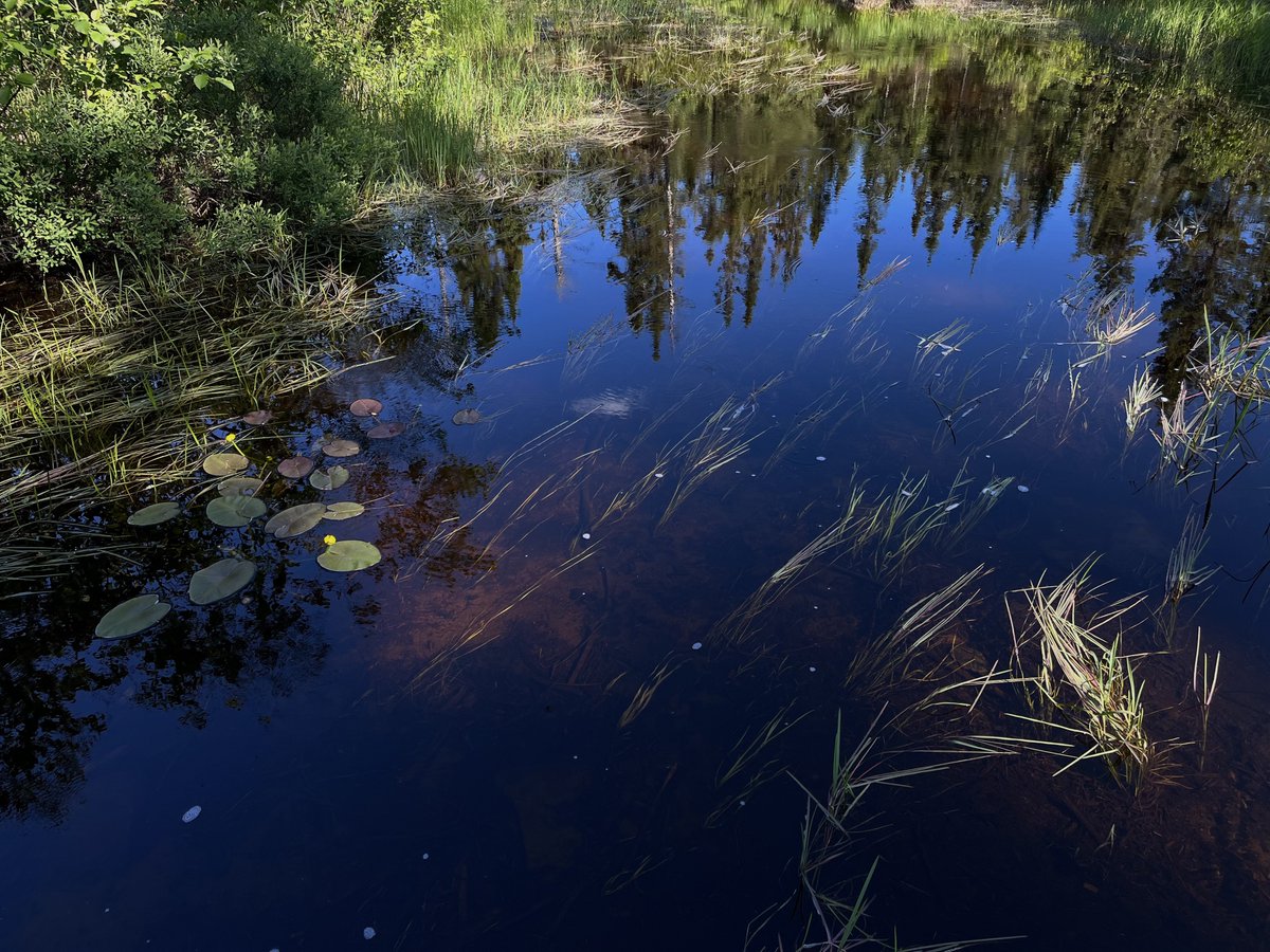 hailey (@mossposter) on Twitter photo 