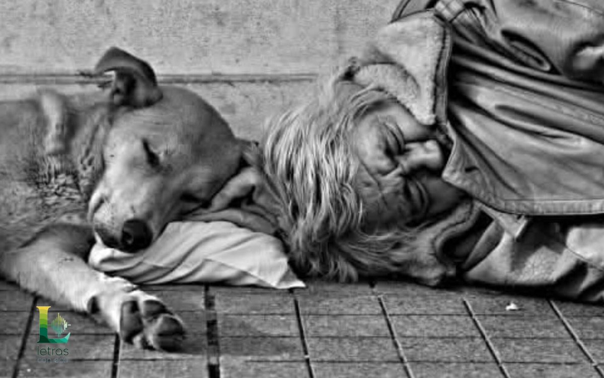 #PalabrasSueltas 🪶 tweet media