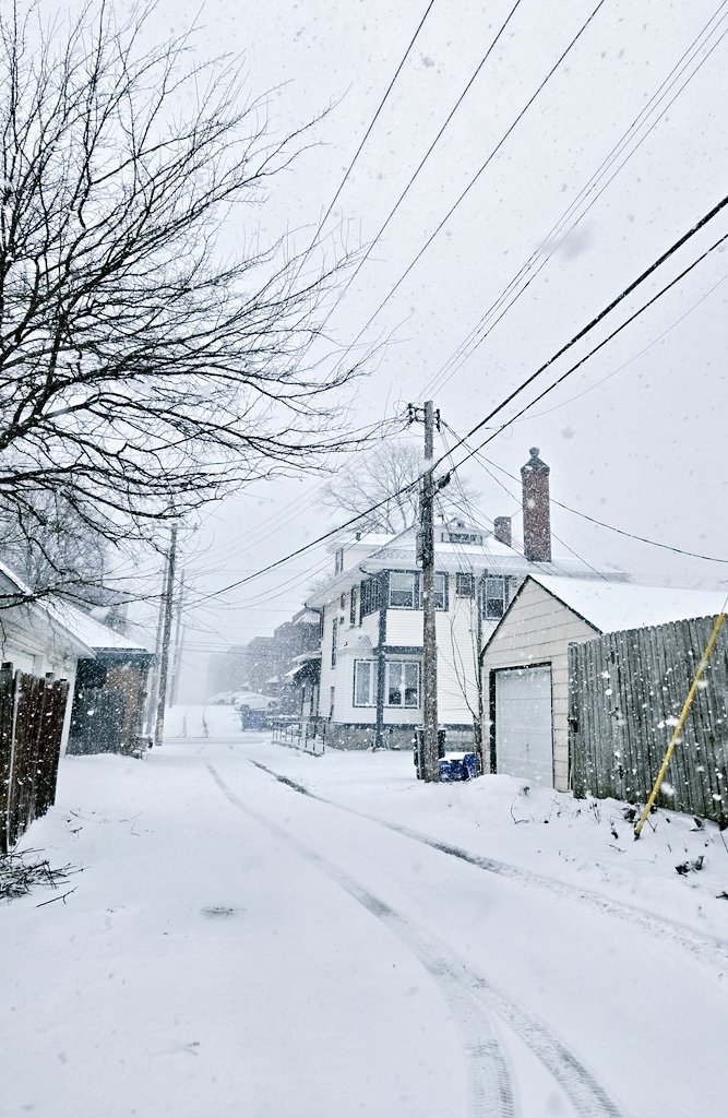 t a m i 🦩 c a b r e r a tweet media