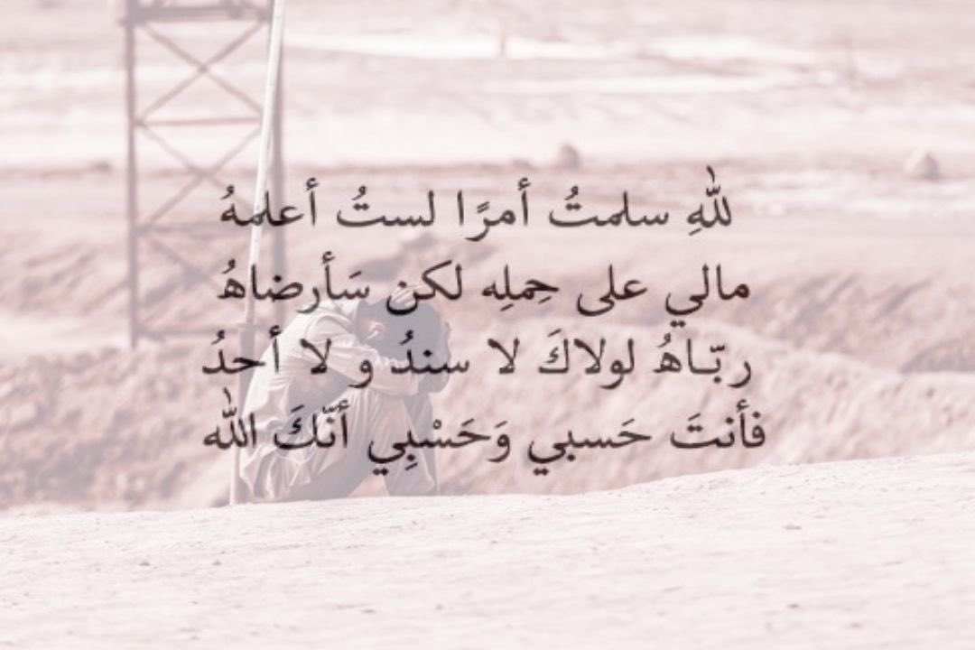 زَيْنَب tweet media