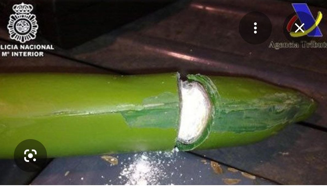 Mariasmus 🦇 🐆💛💚 tweet media