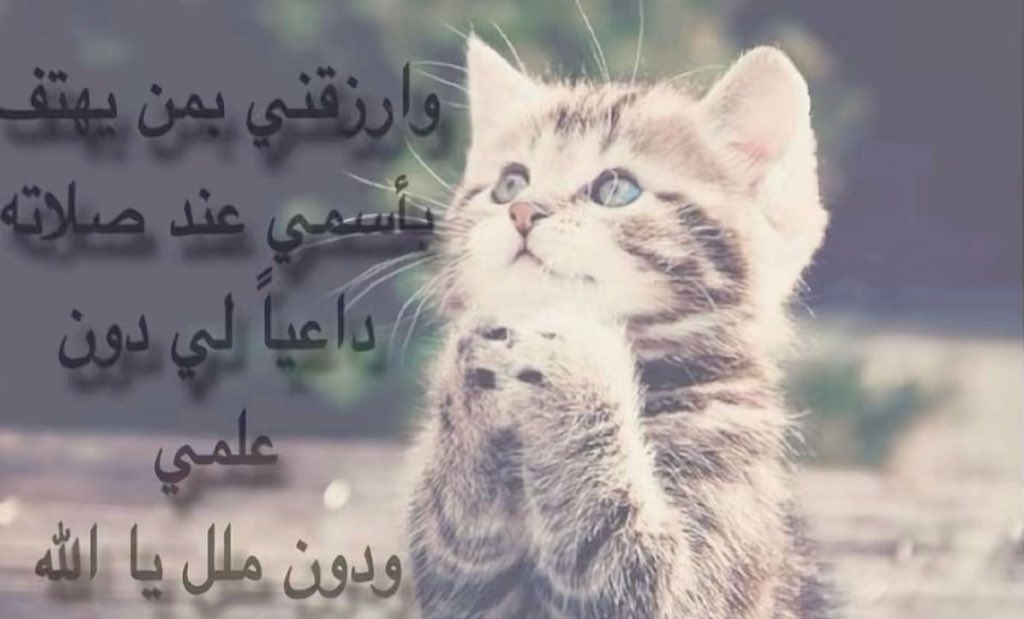 سَما 🪷 tweet media