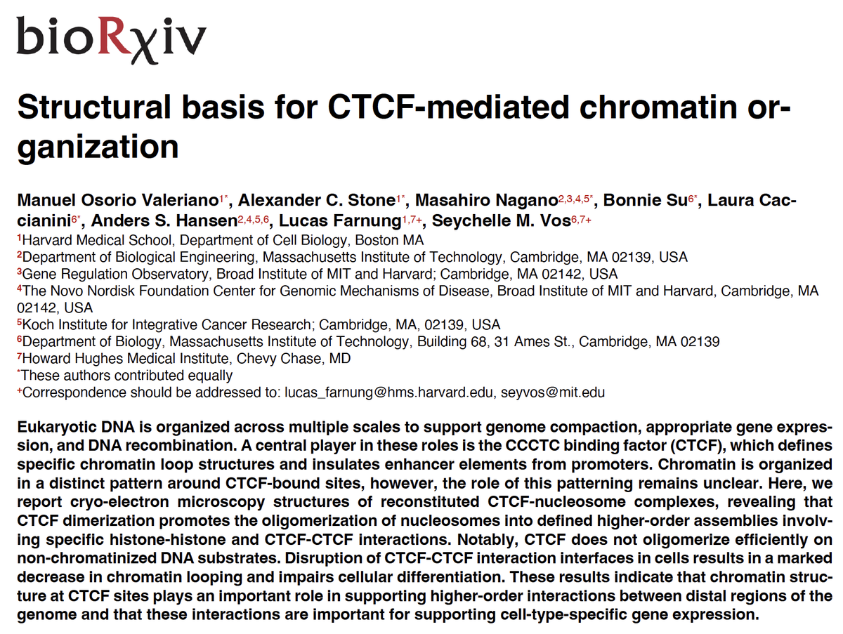 Anders Sejr Hansen tweet media