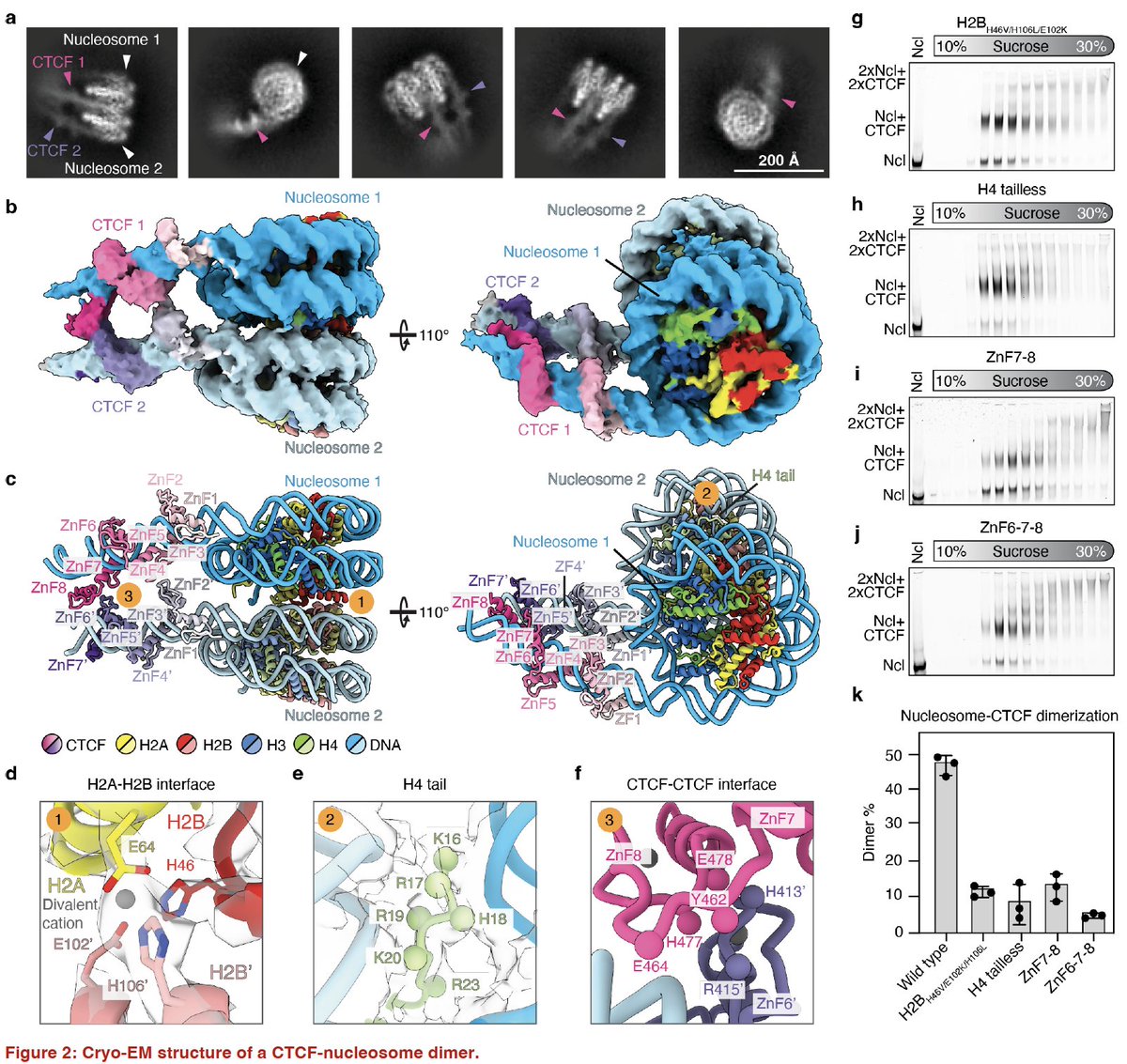 Anders Sejr Hansen tweet media