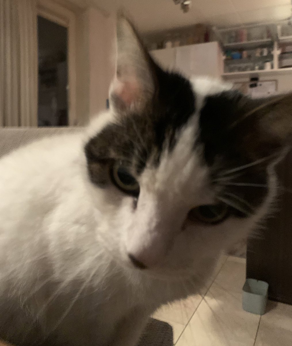 Give to me your soul