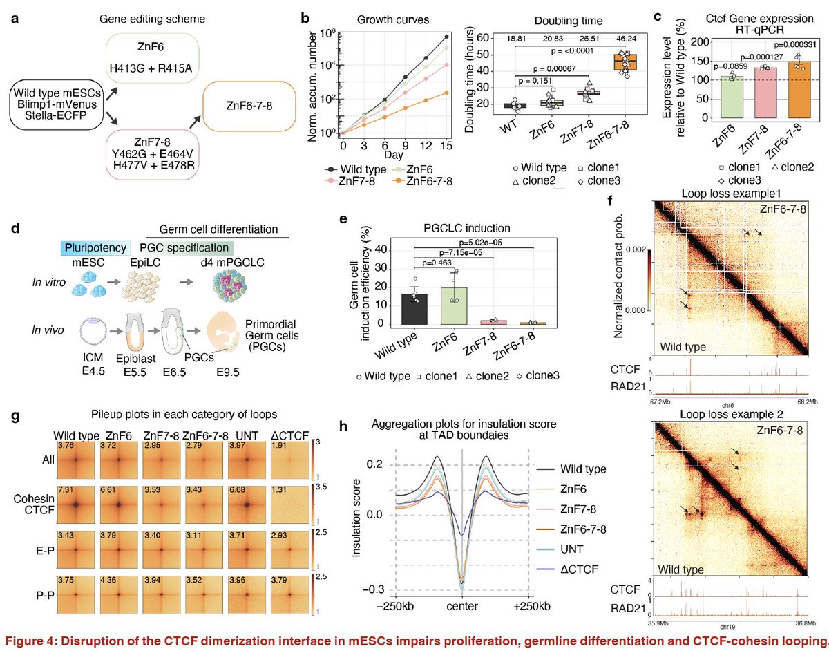 Anders Sejr Hansen tweet media
