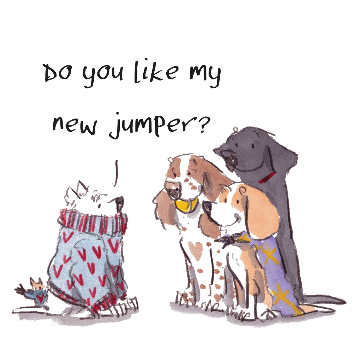 Good night, lovely people and lovely dogs.
The westie has a new jumper.
Sleep well and sweet dreams.
I hope that you have a fun day tomorrow. 
#hoorayfordogs #wesite #springer #labrador #beagle #redsquirrel