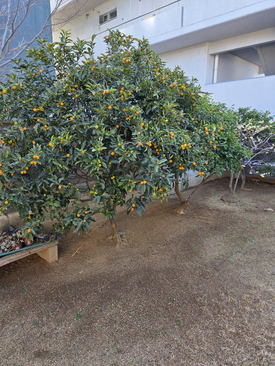 まる®111.80%すこし上がったｗｗｗ tweet media