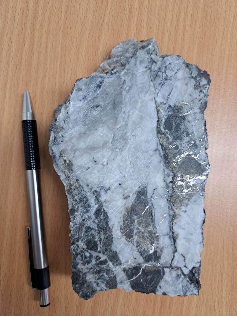 West Coast Silver Ltd tweet media