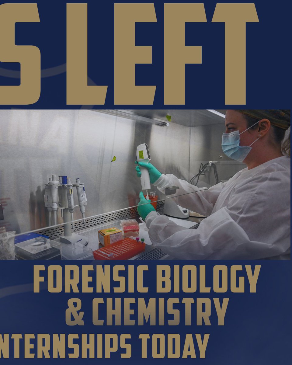 ISP Recruiters tweet media