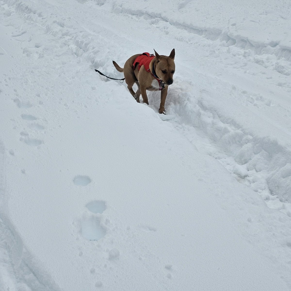 ⛦ (Ky) Kyrus Frei tweet media