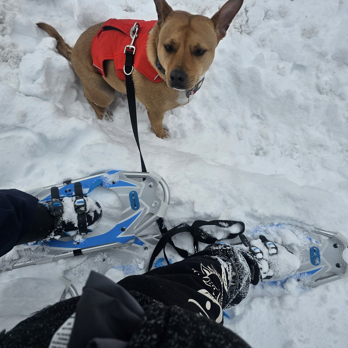 ⛦ (Ky) Kyrus Frei tweet media