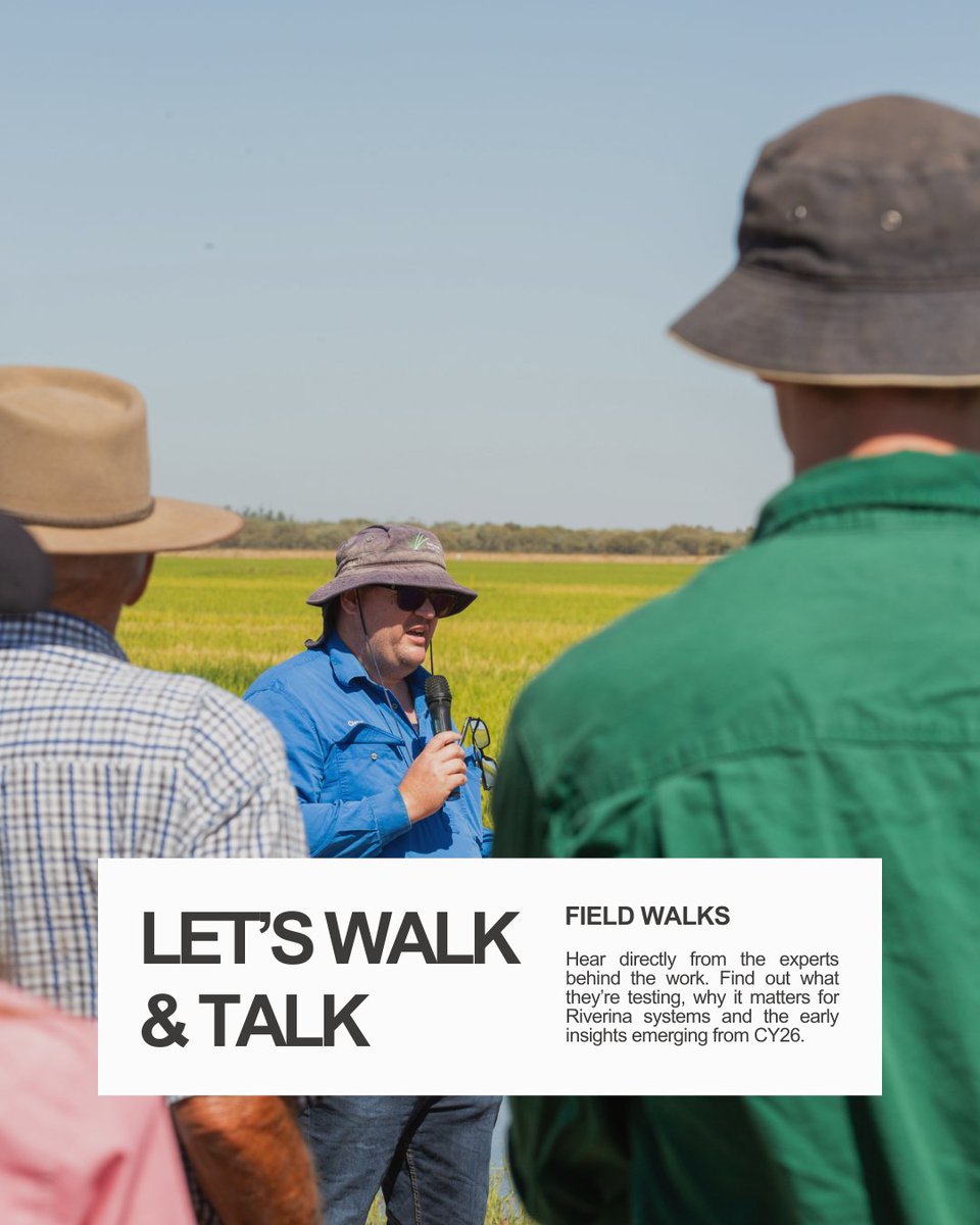 Rice Extension tweet media