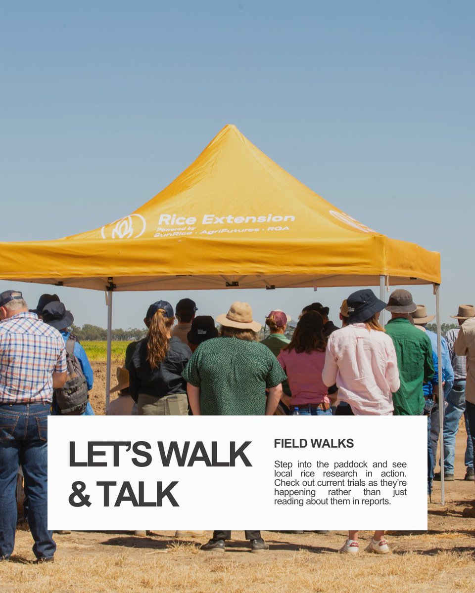 Rice Extension tweet media