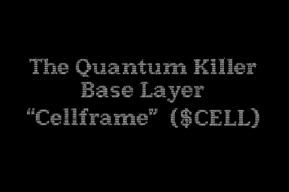 There is only one ⛓️‍💥