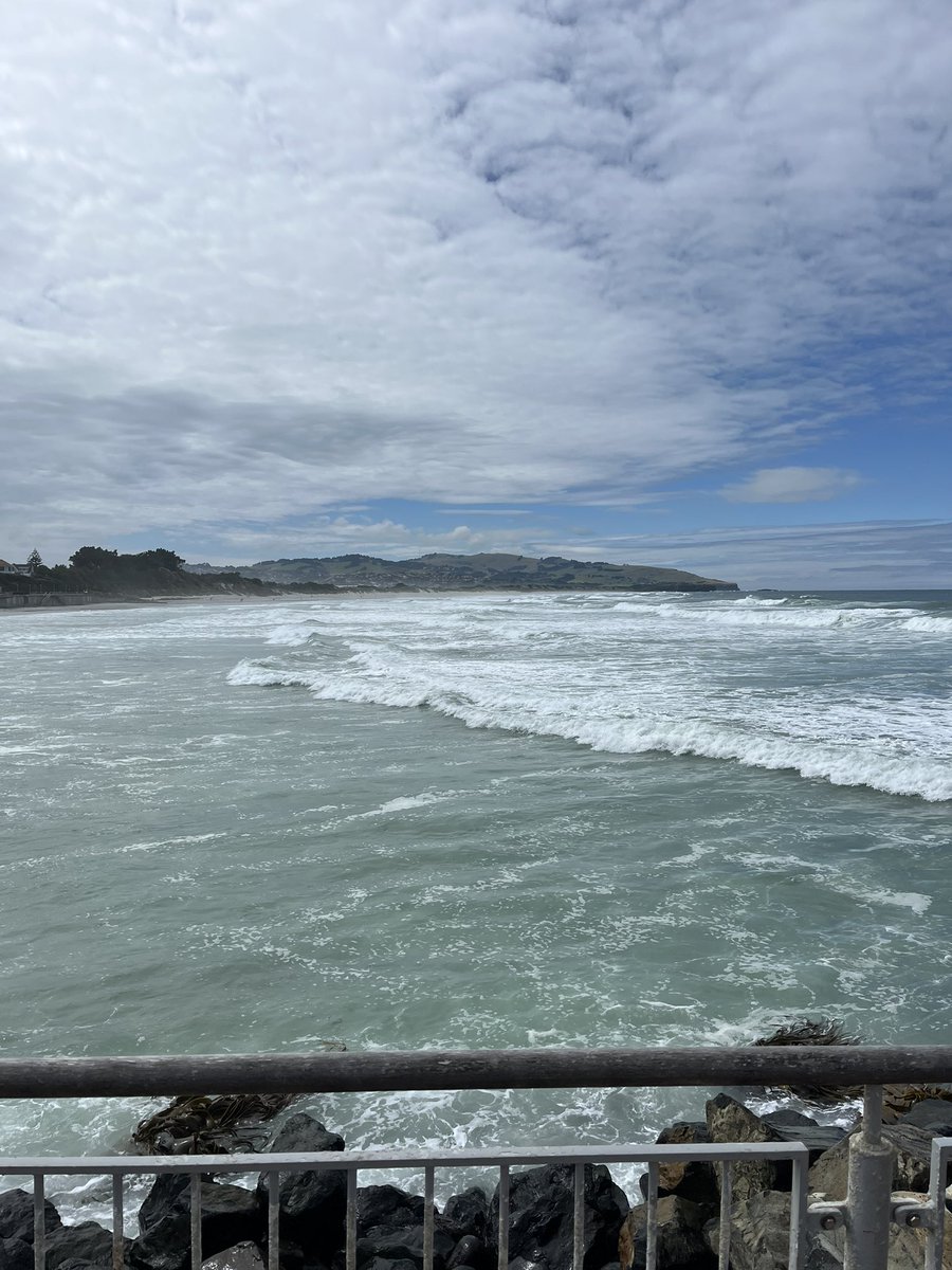 anthonygstyles's tweet photo. Just love Dunedin https://t.co/9YohvJoRF6