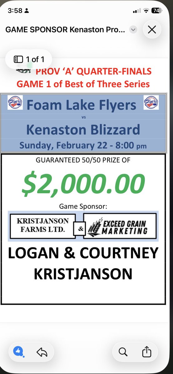 Foam Lake Flyers tweet media