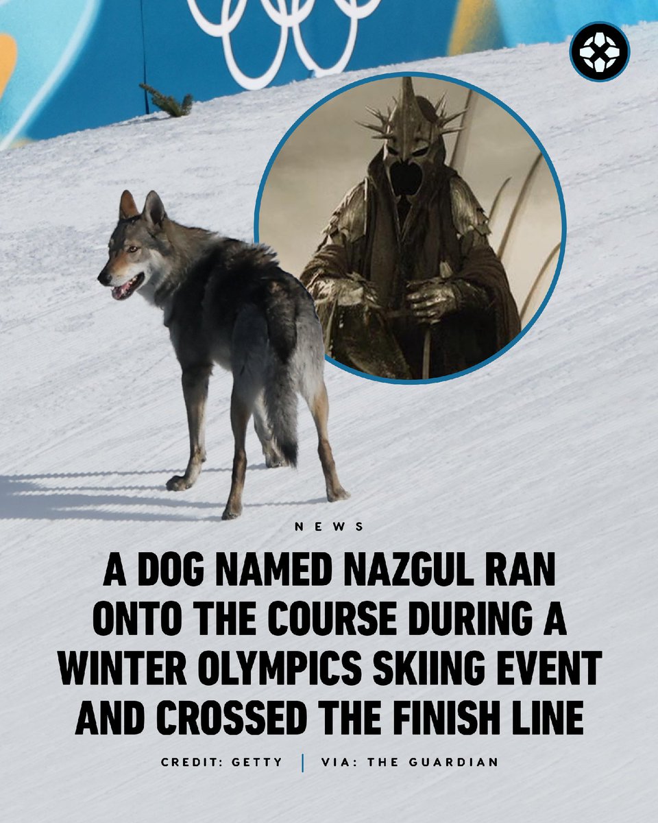 Nazgul, a two-year-old Czechoslovakian wolfdog, ran onto the cross-country ski course at the Winter Olympics, even crossing the finish line. 

He was quickly brought back to the safety of his home nearby, but word on whether he will get an Olympic medal for his athleticism is