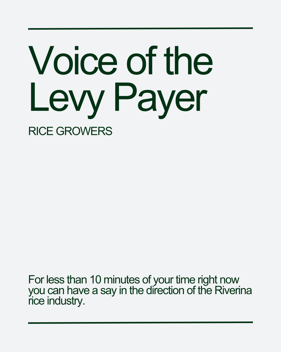 Rice Extension tweet media