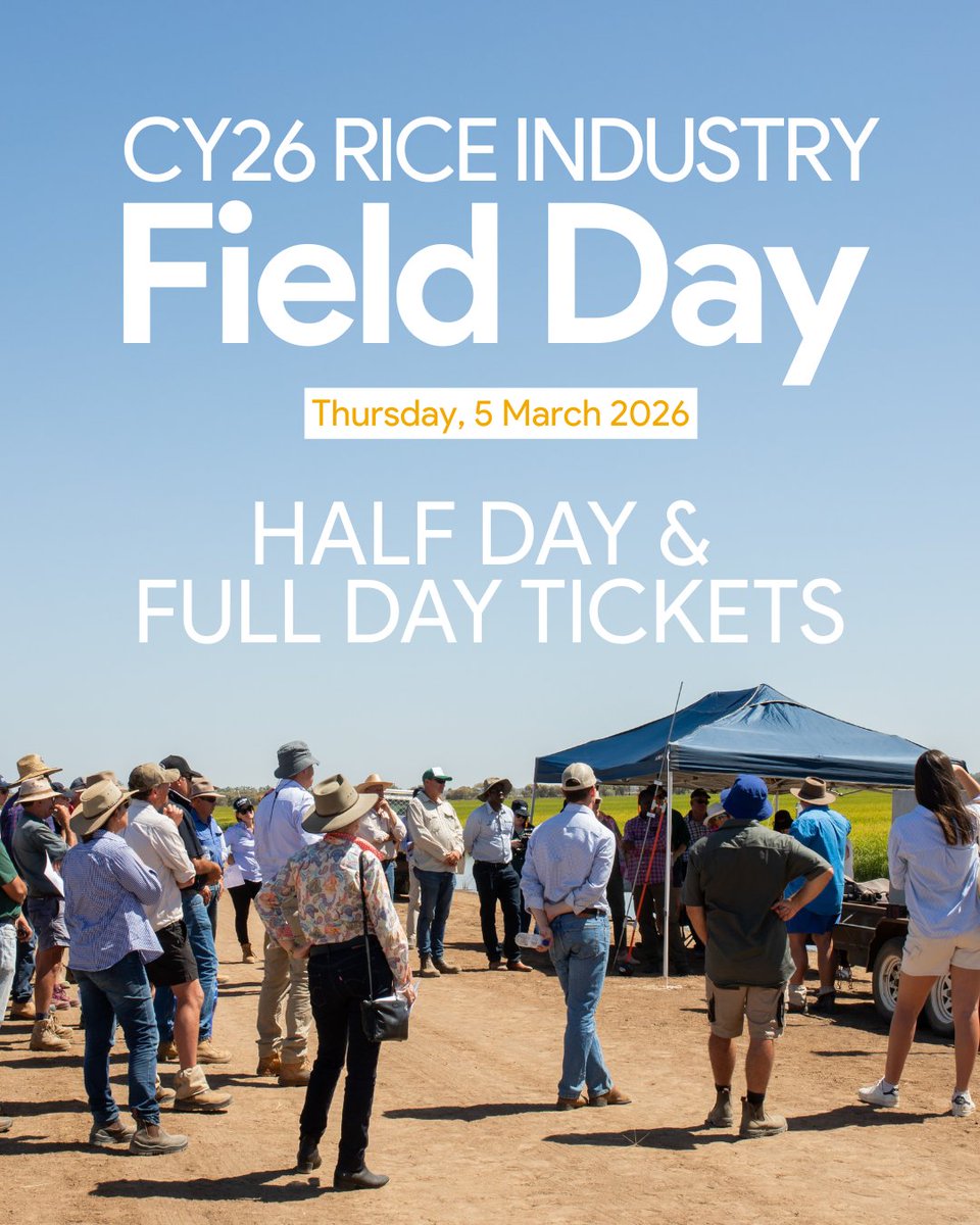 Rice Extension tweet media