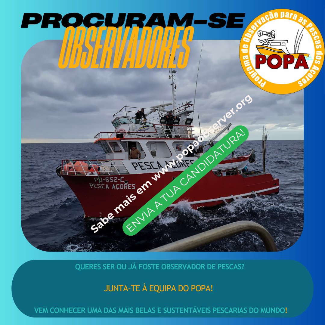 Programa Observação Pescas Açores (POPA) tweet media