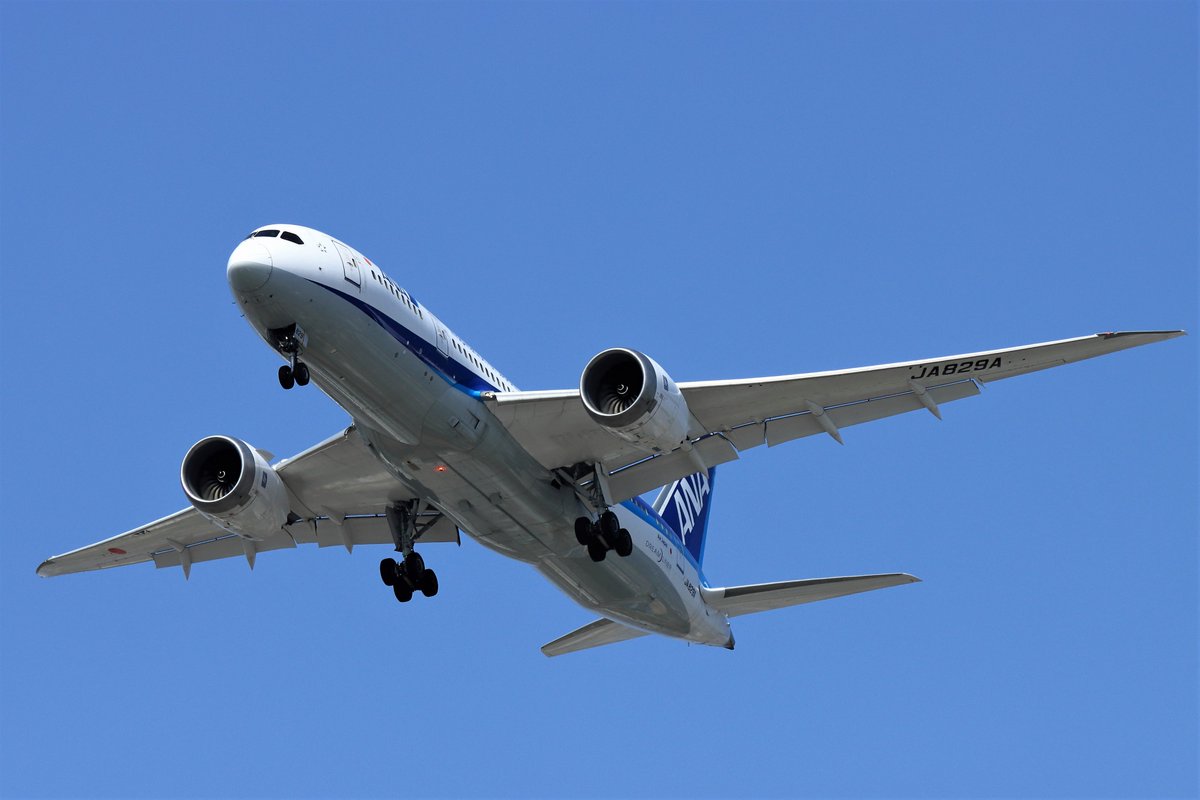 T.Sazen (@KokezaruT) / Posts / X