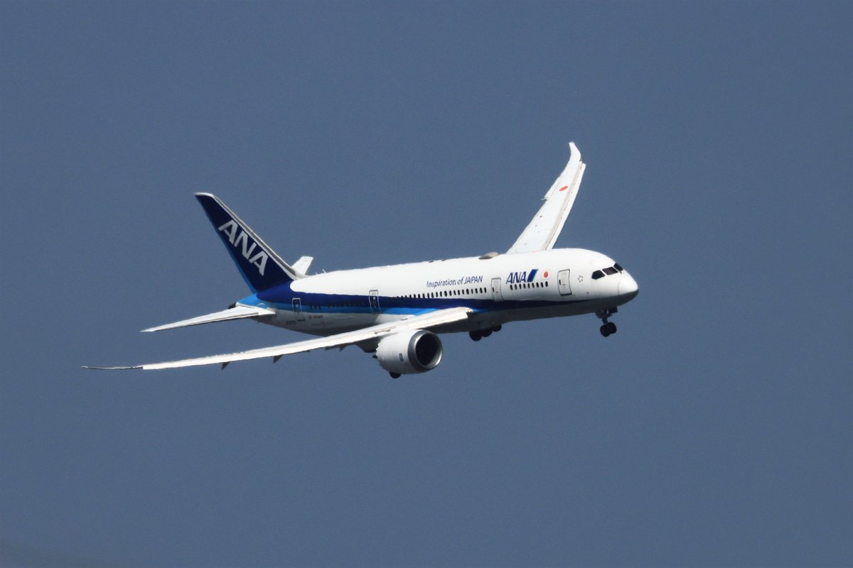 T.Sazen (@KokezaruT) / Posts / X