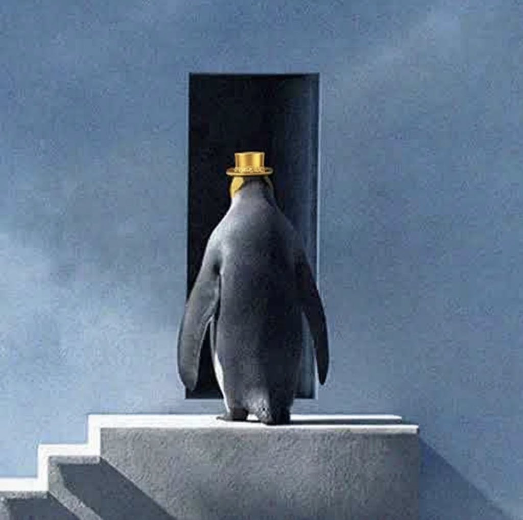 Penguin with golden hat. Push to exit $PUSH