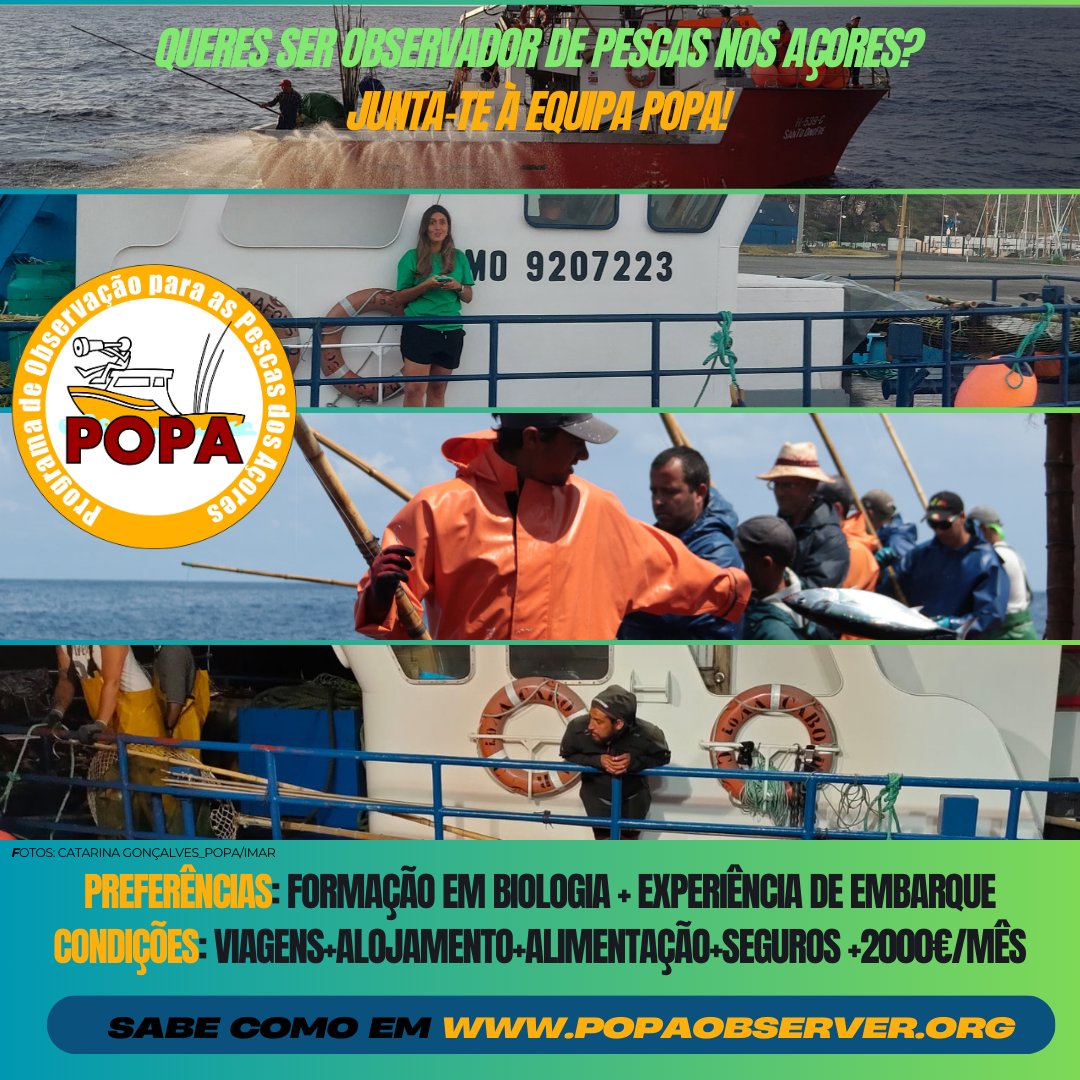 Programa Observação Pescas Açores (POPA) tweet media