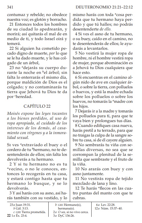 alvaro tweet media
