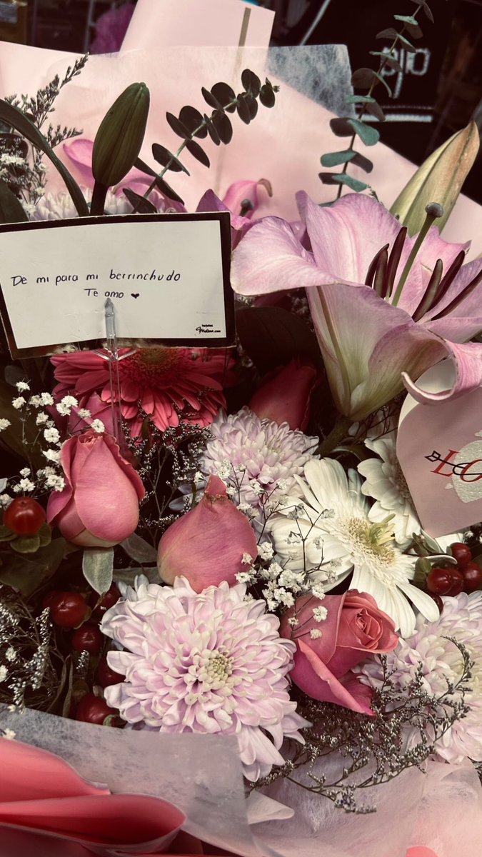 Neta como me encantó 🥺😻
